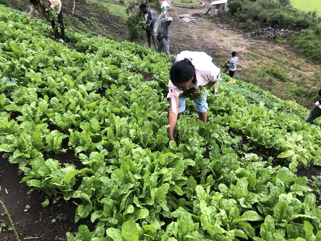 photo 2025 07 29 10 02 51