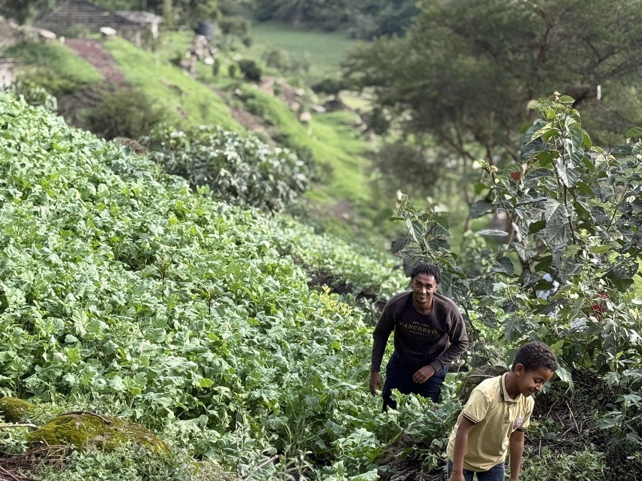 photo 2025 07 29 10 05 52