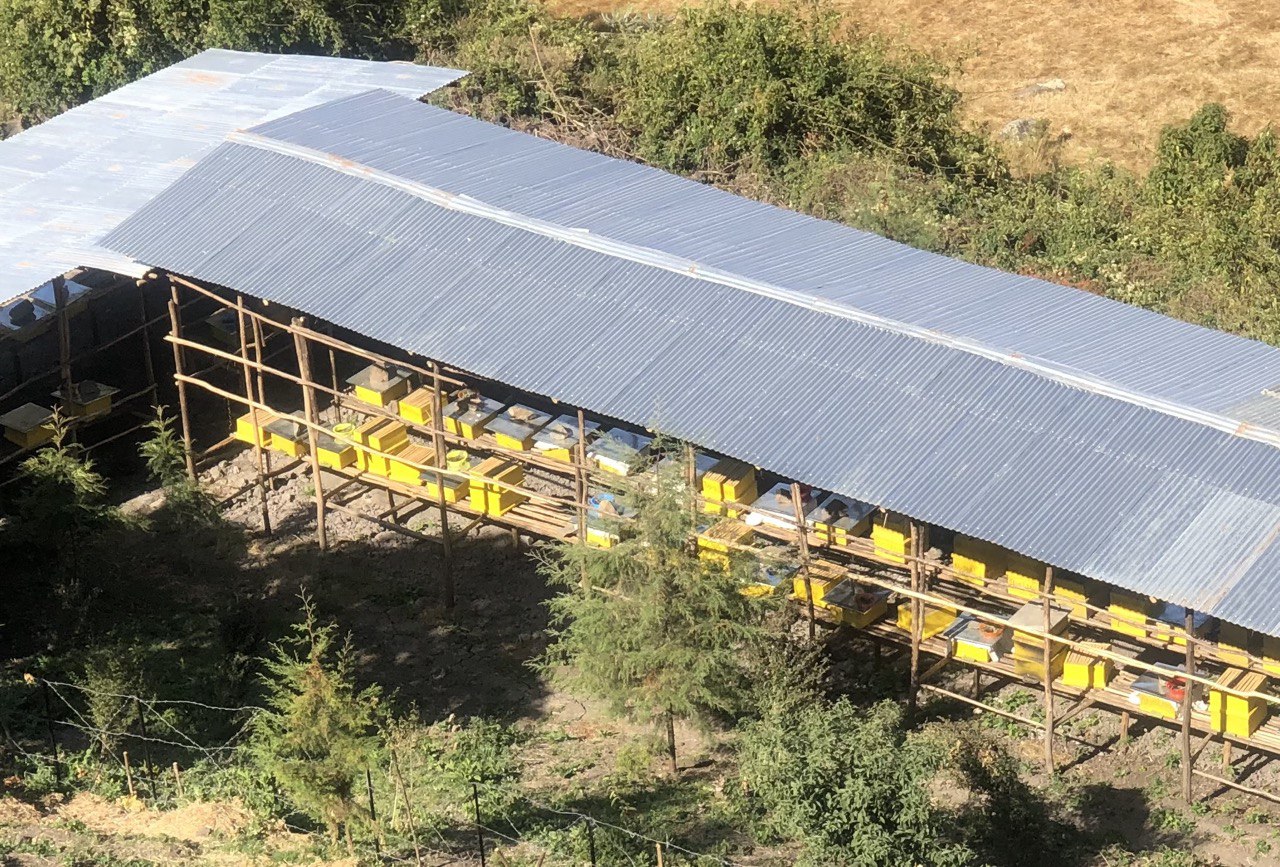 photo 2025 07 29 09 31 52